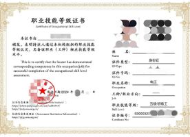 电工等级证书