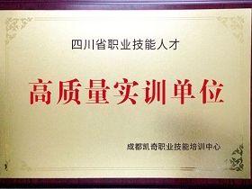 四川省职业技能人才高质量实训单位.
