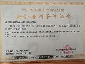 安全生产培训条件证书（省应急管理厅）